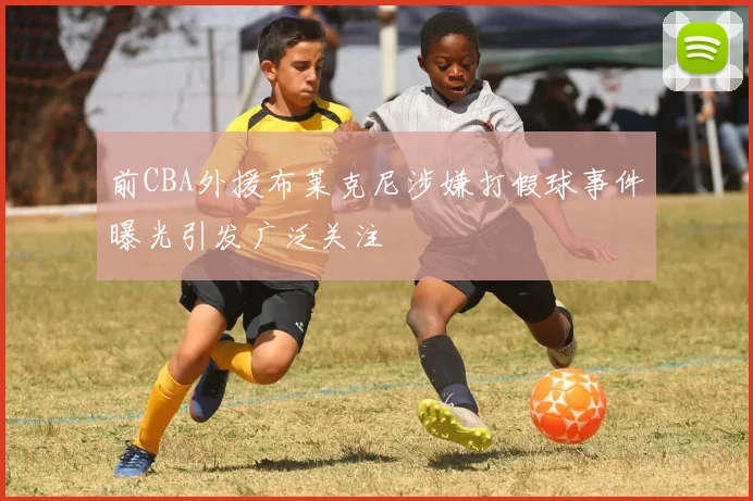 前CBA外援布莱克尼涉嫌打假球事件曝光引发广泛关注
