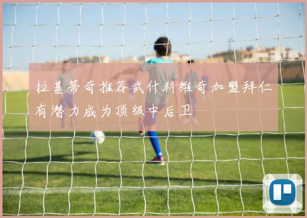 拉基蒂奇推荐武什科维奇加盟拜仁有潜力成为顶级中后卫