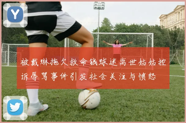 被戴琳拖欠救命钱球迷离世姑姑控诉辱骂事件引发社会关注与愤怒