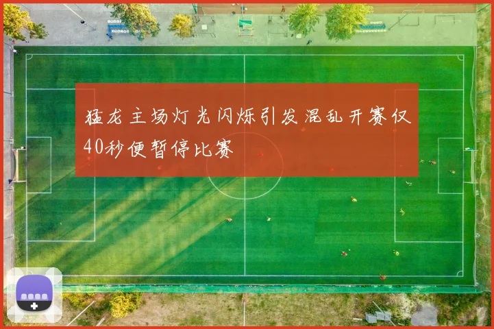 猛龙主场灯光闪烁引发混乱开赛仅40秒便暂停比赛