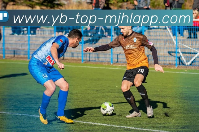 麻将胡了服务体系